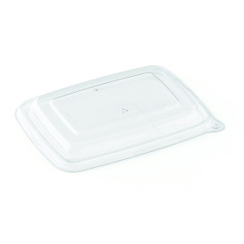 Plastic Lid PET for Container 23x16,5cm 