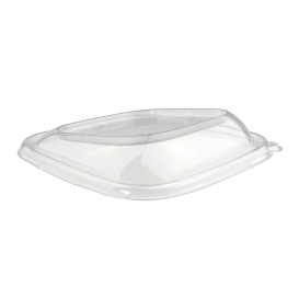 Plastic Lid PET for Container "Vision" 19x19cm 