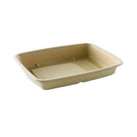 Sugarcane Container 950ml 23x16,5x5cm (75 Units)  