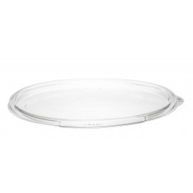 Plastic Lid PET for Salad Bowl Flat Clear Ø18,3cm (63 Units) 