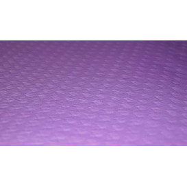 Paper Tablecloth Roll Lilac 1x100m. 40g (6 Units)