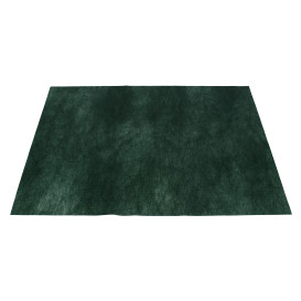 Novotex Placemat Green 50g 30x40cm (500 Units) 