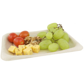 Sugarcane Baguette Container 20x14cm (50 Units) 
