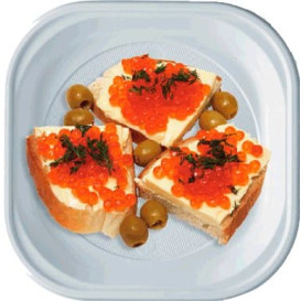 Plastic Plate PS PS Square shape White 20x20 cm (50 Units) 