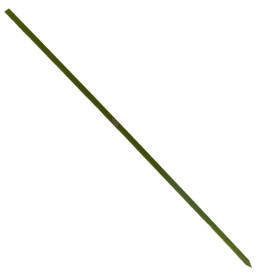 Bamboo Food Pick Natural Green 20cm (200 Units)  