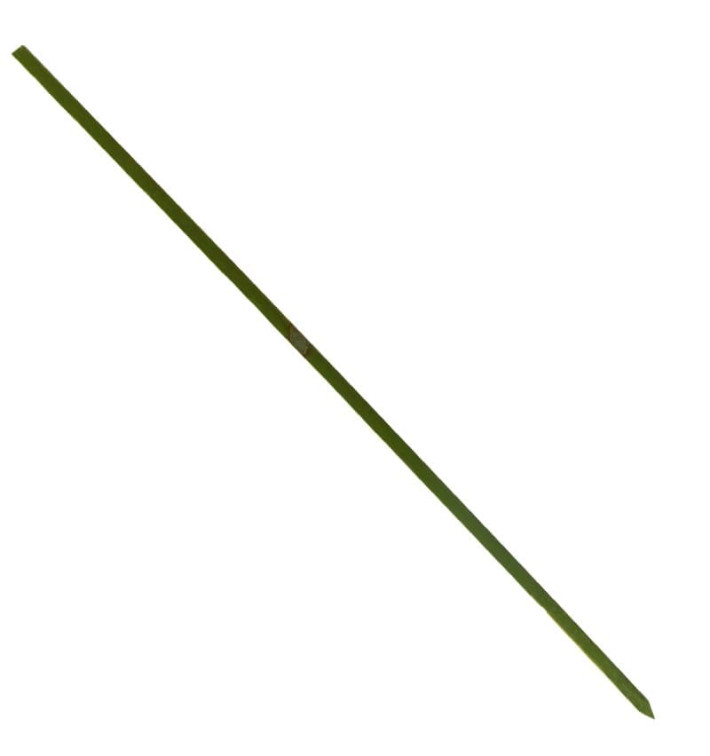 Bamboo Food Pick Natural Green 25cm (200 Units) Bamboo Food Pick Natural Green 25cm (200 Units)