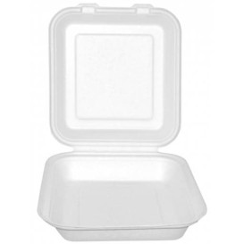 Sugarcane Hinged Container "Menu Box" White 20x18x5cm (50 Units) 