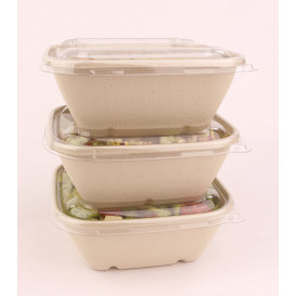 Plastic Lid PP Clear for Bowl 17x17cm (50 Units)
