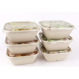 Plastic Lid PP Clear for Bowl 17x17cm (300 Units)