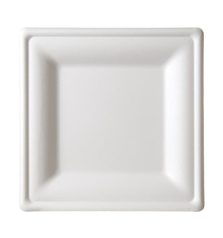 Sugarcane Plate Square shape White 26x26 cm (10 Units) 