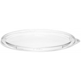 Plastic Lid PET for Salad Bowl Flat Clear Ø15cm (504 Units)