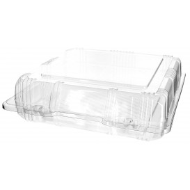 Plastic Hinged Bakery Container PET 20x20x6cm (20 Units) 