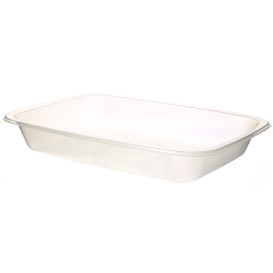 Plastic Tray PP Heat Sealable GS 1/8 15,4x11x2,5cm (50 Units) 