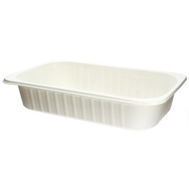 Plastic Tray PP Heat Sealable GS 1/4 24x13,6x5cm (25 Units) 