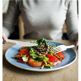 Cornstarch Knife Biodegradable CPLA White 16cm (50 Units) 