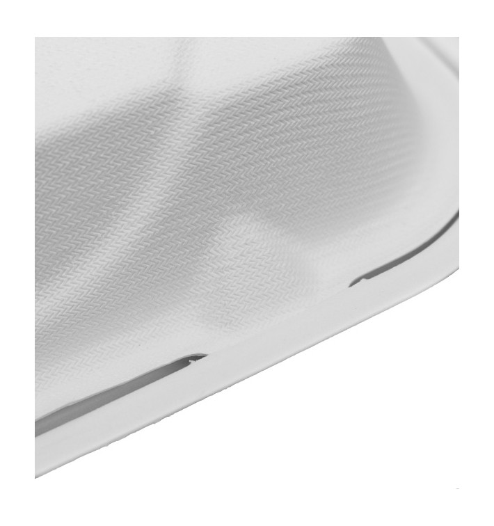 Sugarcane Hinged Container "Menu Box" 3 Compartments White 20x20x7,5cm (50 Units) Sugarcane Hinged Container "Menu Box" 3 Compartments White 20x20x7,5cm (50 Units)