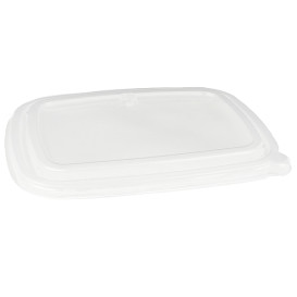 Plastic Lid PP Container 21x16cm (50 Units)