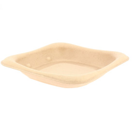 Sugarcane Food Container 13x13cm (50 Units) 