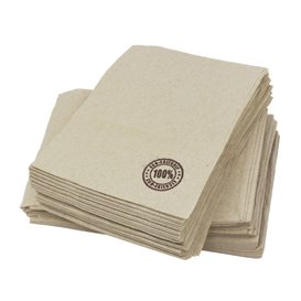 Paper Napkins Eco "Recycled" 17x17cm (200 Units)  