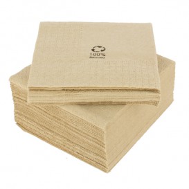 Paper Napkins Eco-Friendly 20x20cm 2C (100 Units) 