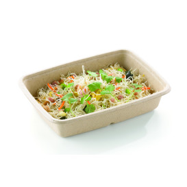 Sugarcane Container PLA 950ml 23x16,5x5cm (75 Units)  