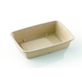 Sugarcane Container PLA 950ml 23x16,5x5cm (75 Units)  