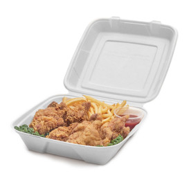 Sugarcane Hinged Container "Menu Box" White 24x23x7,7cm (50 Units)