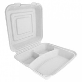 Sugarcane Hinged Container "Menu Box" White 3C 24x23x7,6cm (50 Units)