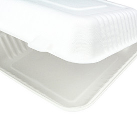 Sugarcane Hinged Container + PLA White 23x23x7,5cm (50 Units)