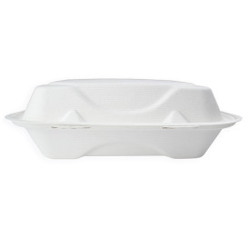Sugarcane Hinged Container White 3C 23x15x7,5cm (50 Units)