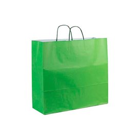 Paper Bag with Handles Green 100g 22+9x23cm (200 Units)