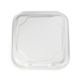 Sugarcane Hinged Container White 3C 23x15x7,5cm (50 Units)