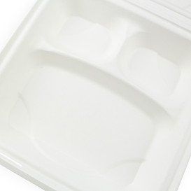 Sugarcane Hinged Container White 3C 23x15x7,5cm (200 Units)