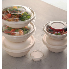 Plastic Dome Lid rPET Crystal Ø21x3cm (25 Units)  