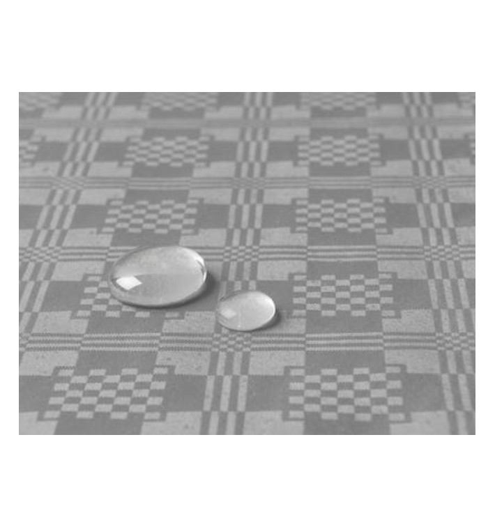Tablecloth Roll Waterproof Silver 1,2x5m (1 Unit) Tablecloth Roll Waterproof Silver 1,2x5m (1 Unit)