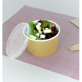 Food Soup Containers With Lids, Plastic Take Out Bowls, Food