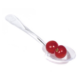 Tasting Teaspoon Clear in Box 10cm (5000 Units)