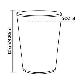 Plastic Pint Glass PS Reusable 420ml (5 Units) 