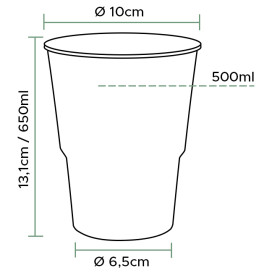 Plastic Cup PP Clear 300ml (50 Units)