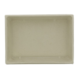 Sugarcane Tray with Lid 750ml 22x16x6cm (15 Units) 