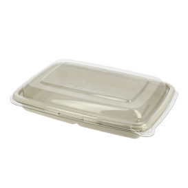 Sugarcane Container with Lid 600ml 23x16x5cm (15 Units)