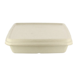 Sugarcane Lid for Container 23x23cm (75 Units)  