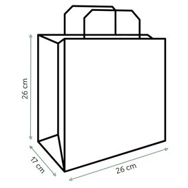 Paper Bag with Handles Kraft Flat 70g/m² 26+18x26cm (250 Units)