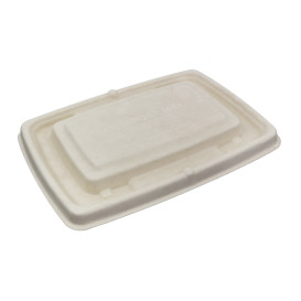 Sugarcane Lid for Container 23x16,5cm (75 Units)  