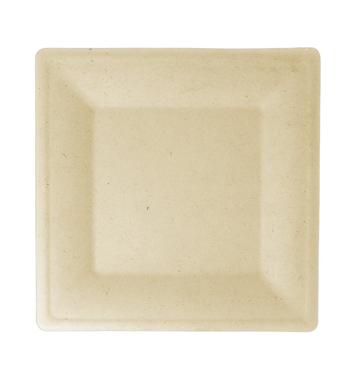 Sugarcane Plate Square shape Natural 26,2x26,2 cm (50 Units) 