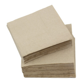 Paper Napkins Eco-Friendly 20x20cm 2C (100 Units) 