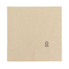 Paper Napkin Eco-Friendly 40x40cm 2C (50 Units)