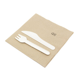 Paper Napkin Eco-Friendly 40x40cm 2C (50 Units)