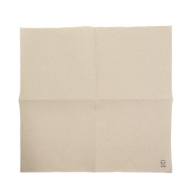 Paper Napkin Eco 40x40cm 2C (50 Units)