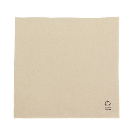 Paper Napkin Eco 40x40cm 2C (50 Units)